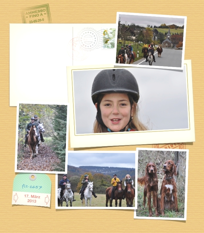 Steckenpferde Collage Steckenpferde Collage