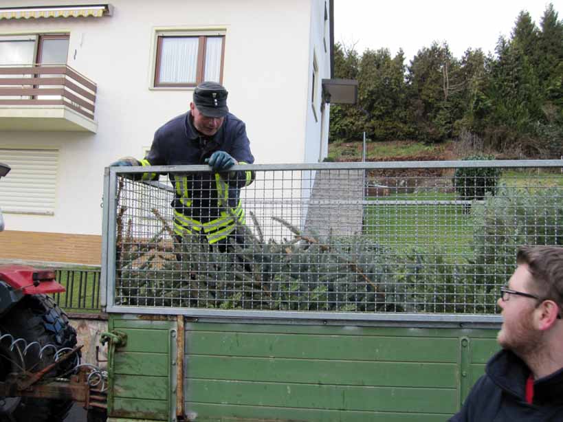 Weihnachtsbaumsammelaktion2012_5 Weihnachtsbaumsammelaktion2012_5